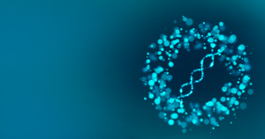 Main-banner-2-2 2