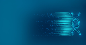 Main-banner-3 2